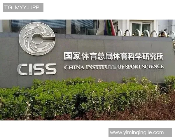 成都排球队战术解析与发展策略探讨助力球队提升竞技水平